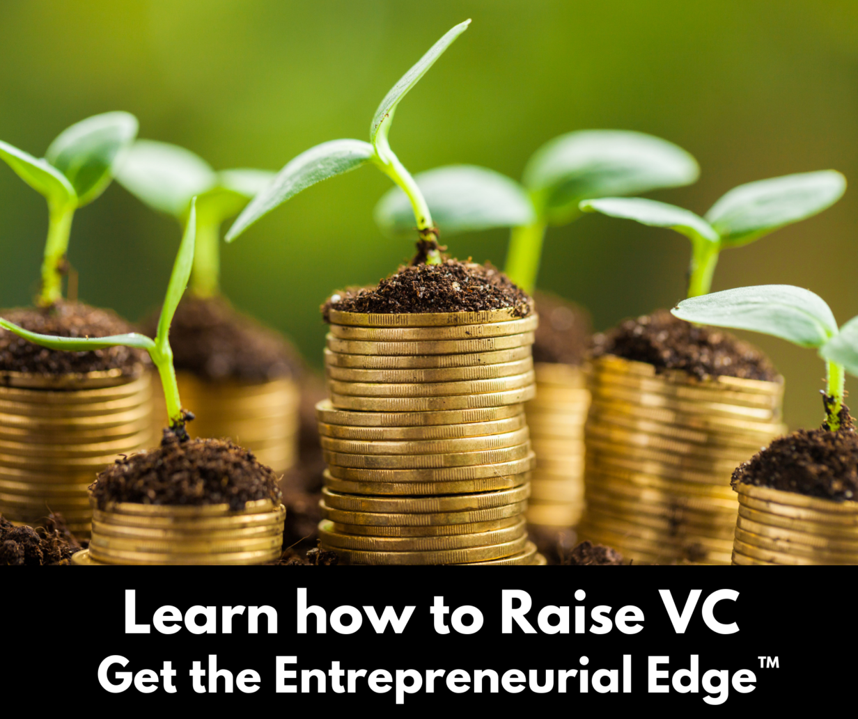 Learn how to raise venture capital - entrepreneur's edge - reagan pollack